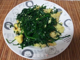 韭菜炒蛋的做法步骤：7