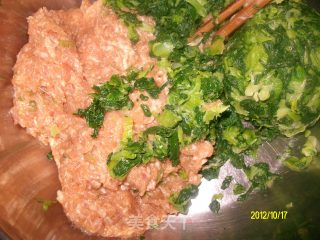 ✿小白菜鲜肉水饺✿的做法步骤：12