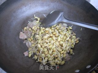 黄豆芽炒肉的做法步骤：5