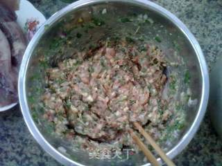 鲜美无比-鱿鱼饺子的做法步骤：5