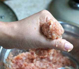 冬瓜肉丸清汤的做法步骤：5