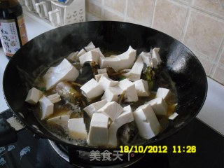 昂子鱼烩豆腐的做法步骤：5
