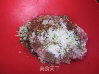 大白菜肉包子的做法步骤：5
