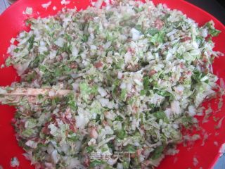 大白菜肉包子的做法步骤：8