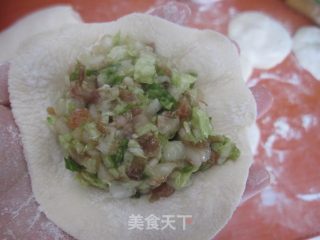 大白菜肉包子的做法步骤：12