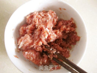 蜜汁猪肉脯的做法步骤：3