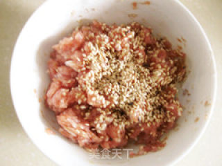 蜜汁猪肉脯的做法步骤：4