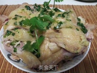 姜葱蒸鸡的做法步骤：9