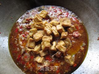鲶鱼烧豆腐的做法步骤：10