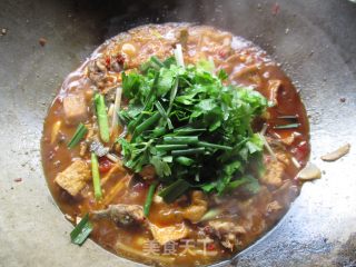 鲶鱼烧豆腐的做法步骤：11