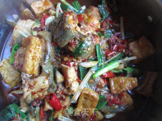 鲶鱼烧豆腐的做法步骤：12