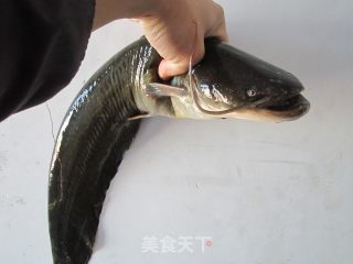 酱炖鲶鱼的做法步骤：1