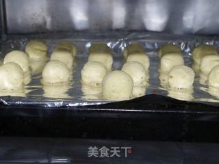 蛋黄椰蓉酥的做法步骤：7
