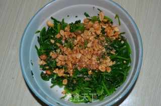 凉拌菠菜之花生酱的做法步骤：5