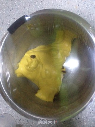 金灿灿的南瓜葡萄干餐包的做法步骤：5