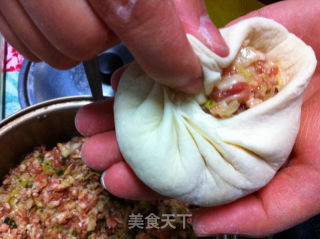 鲜肉包子全过程的做法步骤：13