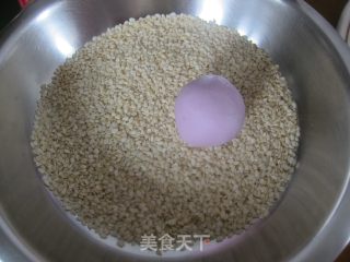 花生馅滴《紫薯芝麻球】的做法步骤：12