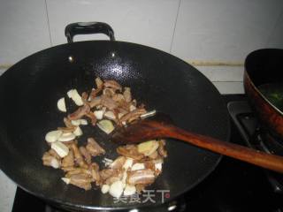 孜然时蔬羊肉的做法步骤：4