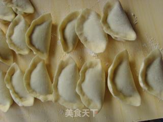 秋季清爽宜人小吃———芹菜猪肉饺子的做法步骤：10