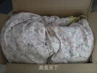 详解醪糟做法的做法步骤：14