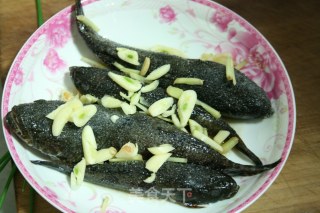 清蒸罗托的做法步骤：5