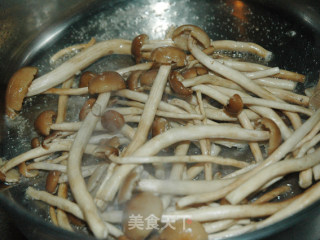 干锅茶树菇的做法步骤：4