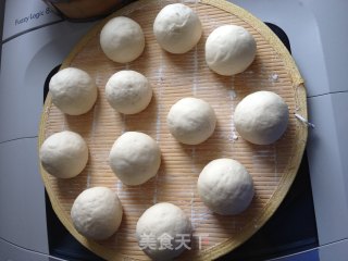 馒头的做法（酵母+泡打粉）的做法步骤：6