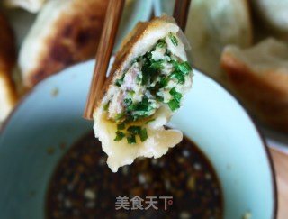 韭菜猪肉煎饺的做法步骤：12