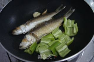 青椒烧小鲫鱼的做法步骤：4