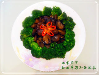 耗油草菇扣新兰花的做法步骤：11