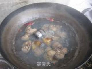 卤鸡肝的做法步骤：6