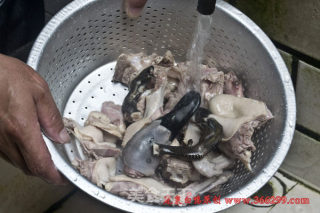 全国唯一药用鸭-连城白鸭原产地推荐煮法的做法步骤：4