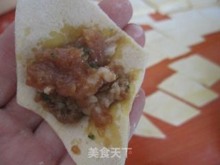 鸡肉馄饨的做法步骤：9