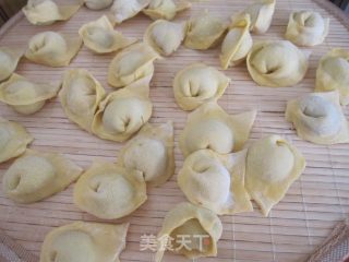 鸡肉馄饨的做法步骤：11