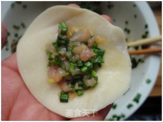 猪肉韭菜水饺的做法步骤：5