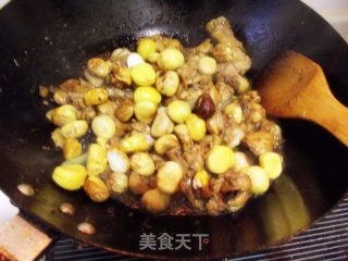 红烧栗子鸡的做法步骤：7