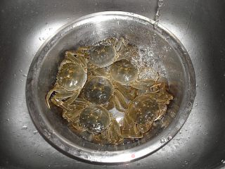 清蒸大闸蟹的做法步骤：2