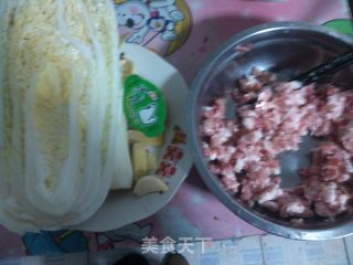 北方家家都吃的经典饺子-----猪肉白菜饺子的做法步骤：2