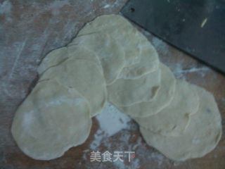 北方家家都吃的经典饺子-----猪肉白菜饺子的做法步骤：8