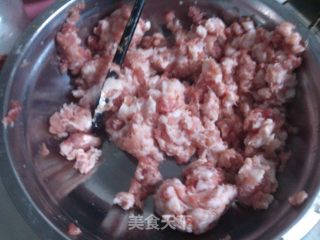 北方家家都吃的经典饺子-----猪肉白菜饺子的做法步骤：9