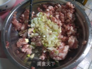 北方家家都吃的经典饺子-----猪肉白菜饺子的做法步骤：10