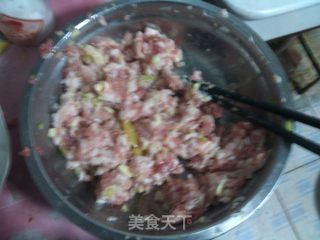 北方家家都吃的经典饺子-----猪肉白菜饺子的做法步骤：11