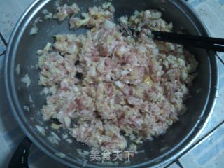 北方家家都吃的经典饺子-----猪肉白菜饺子的做法步骤：12
