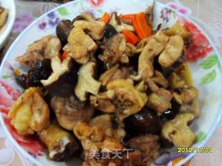 鲜蘑菇焖鸡的做法步骤：9