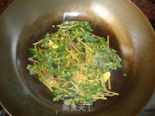 酸甜马齿苋的做法步骤：7