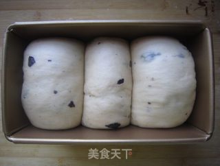 黑加仑土司的做法步骤：13