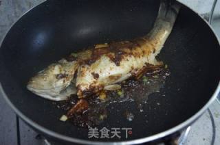 豆瓣酱烧鲈鱼的做法步骤：5