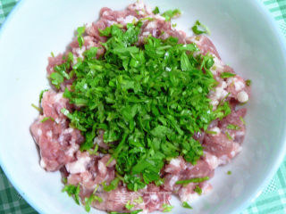 肉菜大馄饨的做法步骤：1