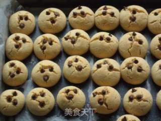 巧克力豆花生酥的做法步骤：11
