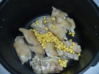猪蹄海带汤——穿过黑发你的手的做法步骤：4